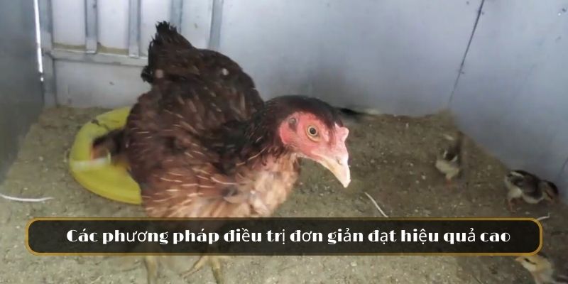 Các phương pháp điều trị đơn giản đạt hiệu quả cao