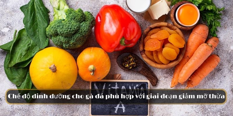 Chế độ dinh dưỡng cho gà đá phù hợp với giai đoạn giảm mỡ thừa 