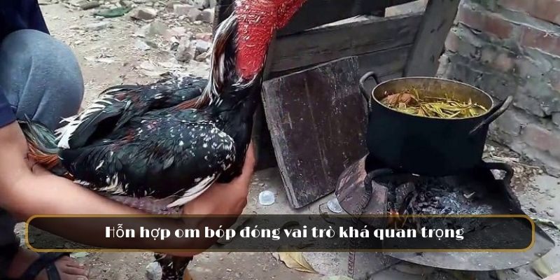 Hỗn hợp om bóp đóng vai trò khá quan trọng