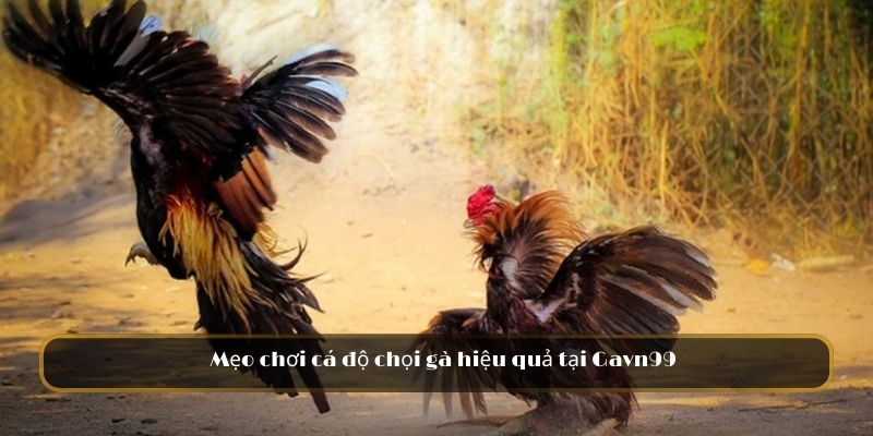 Mẹo chơi hiệu quả tại GAVN99