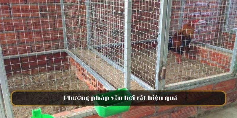 Phương pháp vần hơi rất hiệu quả