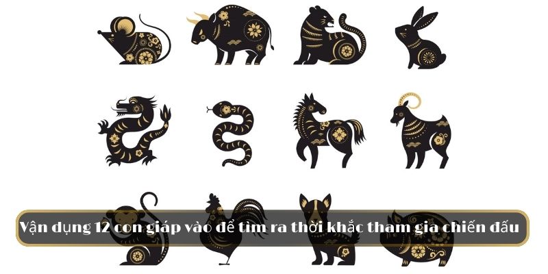 Vận dụng 12 con giáp vào để tìm ra thời khắc tham gia chiến đấu