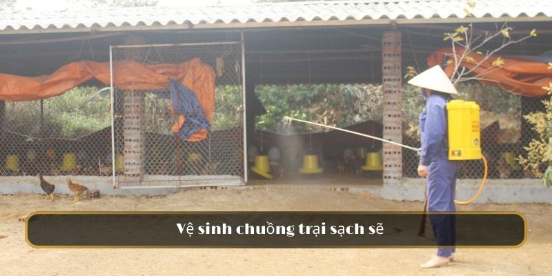 Vệ sinh chuồng trại sạch sẽ